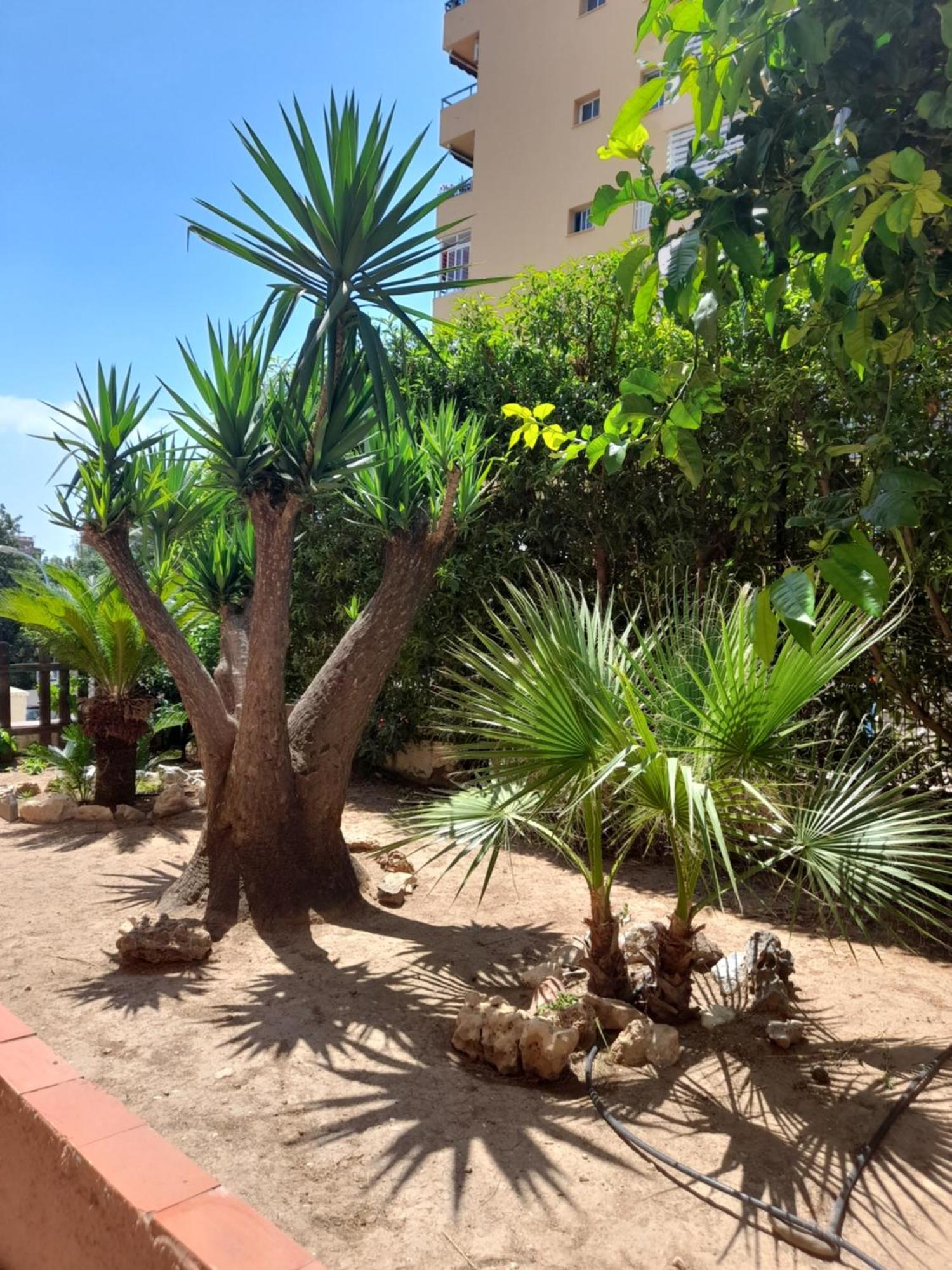 Torremolinos Centro Beach Apartment Luaran gambar